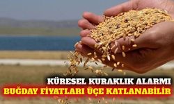 Kuraklık küresel buğday fiyatlarını üç katına çıkarabilir