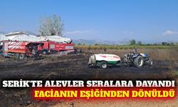 Serik'te otluk yangını seralara sıçramadan söndürüldü