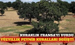Fransa'da kuraklık peynir üretim kurallarını değiştirdi