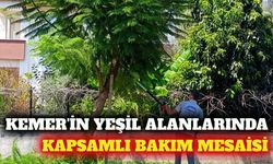 Kemer'de yeşil alan ve engelsiz park bakımı sürüyor