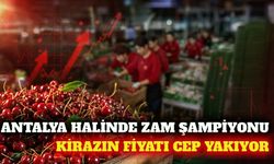 Antalya Halinde haftanın zam şampiyonu kiraz oldu