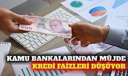 Kamu bankaları kredi faizlerini 2-3 puan düşürüyor