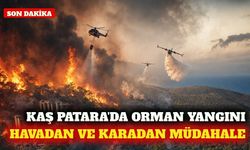Kaş Patara'da orman yangınına yoğun müdahale