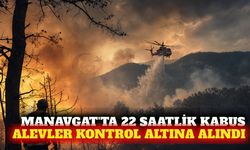 Manavgat'taki orman yangını 22 saatte kontrol altına alındı