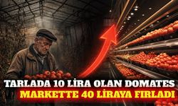 Antalya'da domates üreticide 10, markette 40 liraya ulaştı