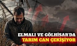 Elmalı ve Gölhisar hattında tarımsal üretim alarm veriyor