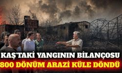 Kaş yangınında 800 dönüm arazi ve 25 yapı zarar gördü