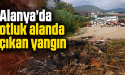 Alanya’da otluk alanda çıkan yangın