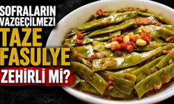 Sofraların vazgeçilmezi taze fasulye zehirli mi?