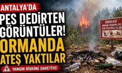 Antalya'da pes dedirten görüntüler! Ormanda ateş yaktılar