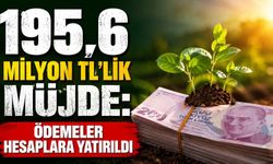 195,6 milyon TL’lik müjde: Ödemeler hesaplara yatırıldı