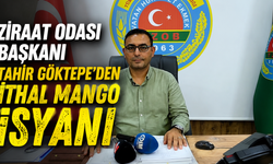 Ziraat Odası Başkanı Göktepe’den ithal mango isyanı