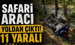 Safari aracı yoldan çıktı: 11 yaralı