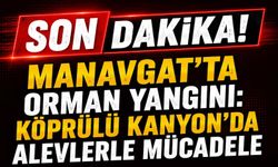 Manavgat’ta orman yangını: Köprülü Kanyon’da alevlerle mücadele