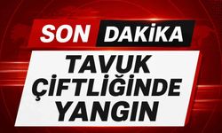 Son dakika - Tavuk çiftliğinde yangın