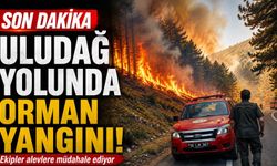Son dakika - Uludağ yolunda orman yangını!