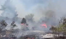 Serik'te otluk alanda korkutan yangın! Mahalleli alevlere ilk müdahaleyi yaptı