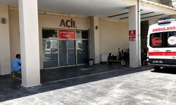 Turist kafilesinde toplu rahatsızlık: 12 kişi hastanelik oldu