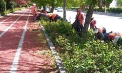Park ve refüj yapılacak