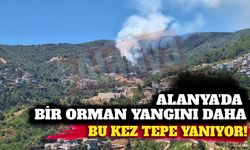 Son dakika - Alanya Tepe'de orman yangını