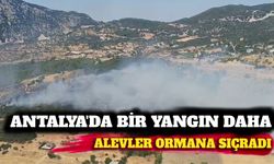 Antalya'da korkutan yangın: Alevler ormana sıçradı