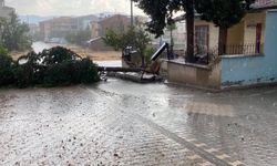 5 dakikalık fırtına hayatı felç etti: Çatılar uçtu, ağaçlar devrildi