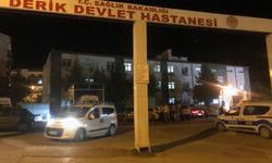 Dereye düşen 3 yaşındaki Eslem kurtarılamadı