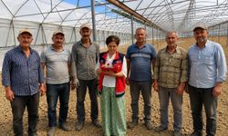 Alanya’nın 3 mahallesinde üretici seferberliği