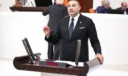 Vekil Kaya, lokanta ve restoran işletmecilerinin sorunlarını TBMM’ye taşıdı