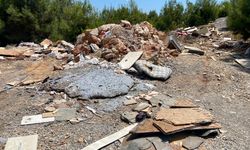 Cikcilli’de tepki çeken görüntüler! Ormanlık alanı çöplüğe çevirdiler