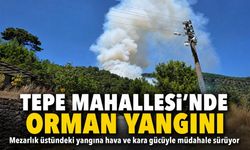 Alanya Tepe Mahallesi'nde orman yangını: Mezarlık üstünde alevlerle mücadele sürüyor