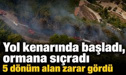 Alanya’da yol kenarında başlayan yangın ormana sıçradı: 5 dönüm zarar gördü