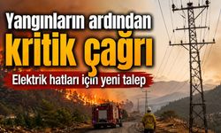 Alanya'da yangınların ardından elektrik hatları için yer altı çağrısı