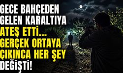 Aydın Bozdoğan'da Domuz Sanılan Baba Hayatını Kaybetti