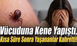 Vücuduna kene yapışan kadın hayatını kaybetti