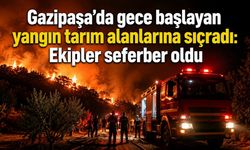 Gazipaşa’da orman yangını tarım alanlarına sıçradı