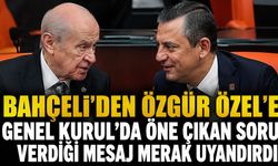 TBMM’de Bahçeli ile Özel arasında öne çıkan diyalog