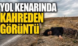 Yol Kenarında Kadın Cesedi Bulundu 2 Şüpheli Gözaltında