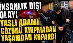 İnsanlık dışı olayda zanlının suç dosyası kabarık çıktı