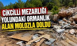 Cikcilli Mezarlığı yolundaki ormanlık alan molozla doldu