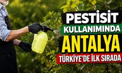 Pestisit kullanımında Antalya Türkiye’de ilk sırada