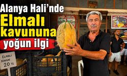 Alanya Hali’nde Elmalı kavununa yoğun ilgi