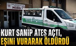 Kurt Sanıp Ateş Açtı Hayatı Karardı