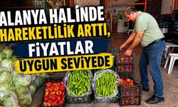Alanya halinde hareketlilik arttı, fiyatlar uygun seviyede