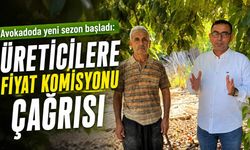 Avokadoda yeni sezon başladı: Üreticilere fiyat komisyonu çağrısı