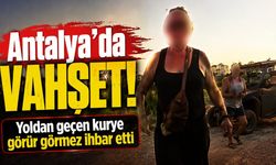 Antalya'da vahşet! Yoldan geçen kurye görür görmez ihbar etti