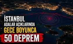 İstanbul Adalar açıklarında gece boyunca 50 deprem