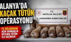 Alanya’da kaçak tütün operasyonu
