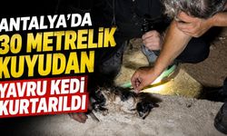Antalya’da 30 metrelik kuyudan yavru kedi kurtarıldı