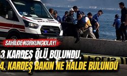 Sahilde korkunç olay! 3 kardeş ölü bulundu, 4. kardeş bakın ne halde bulundu